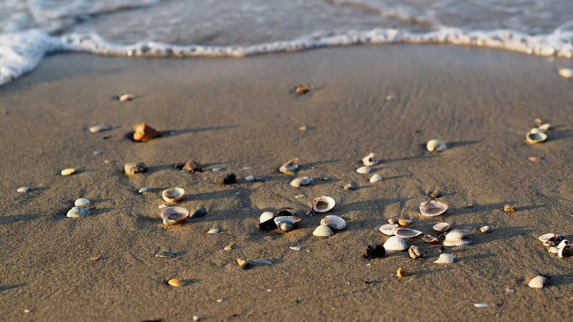 Lovely Getaway Near The Beach - Beahost Rentals Bibione 0*,  İtalya